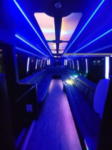 20 Passenger Party Bus Rental NYC