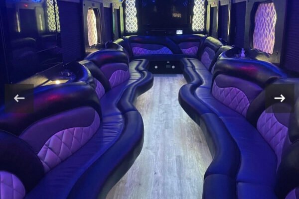 Party Bus Rentals For 30 Passengers