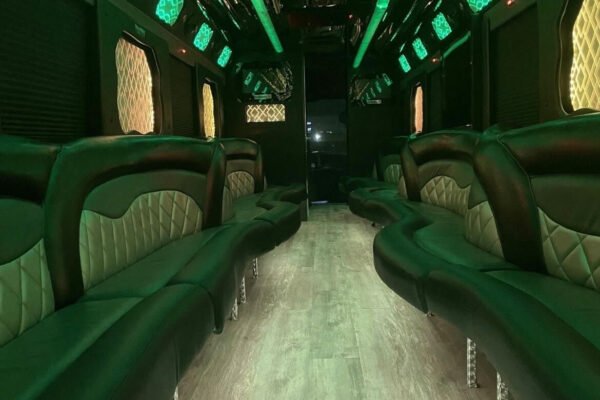 30 Passengers Party Bus Rental