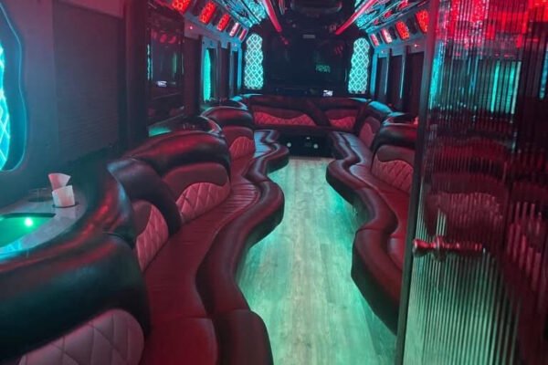 Party Bus Rental For 30 Passengers