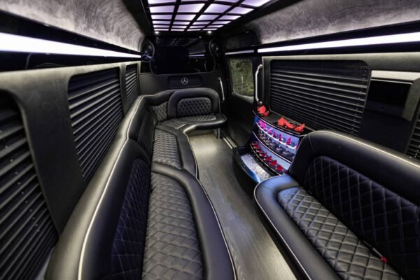 14 PASSENGER SPRINTER LIMOUSINE Rental