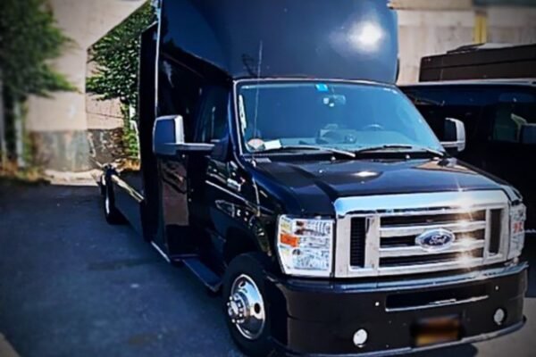 20 Passengers Black Party Bus Rental