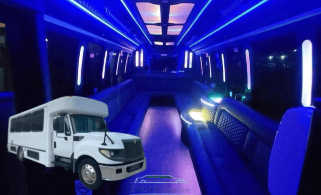 20 Passengers Party Bus Rental