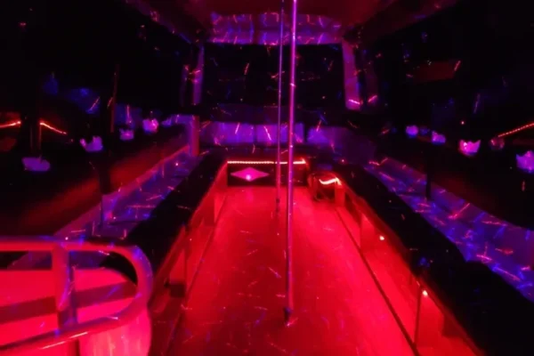 20 Passenger Party Bus Rental Queen Ann