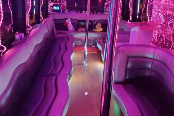 28 Passengers Party Bus Rental