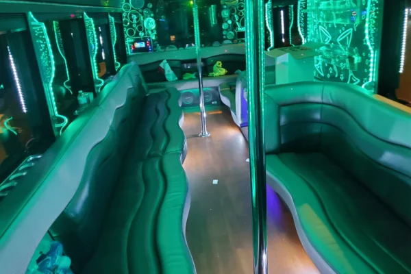 28 Passengers Party Bus Rental