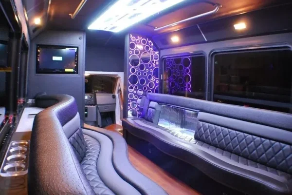 30 Passengers Party Bus Rental