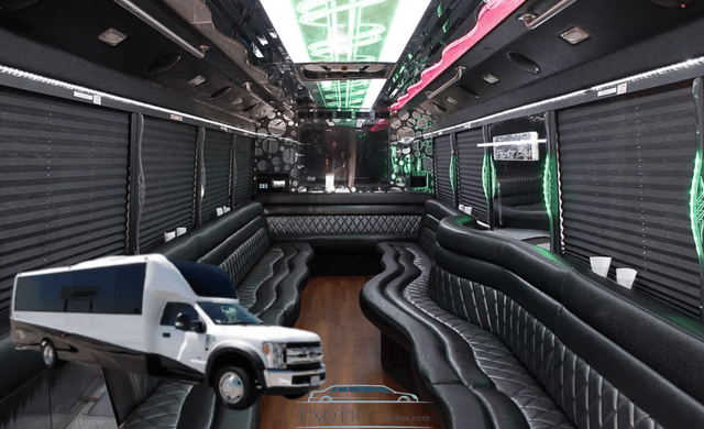 30 Passengers Party Bus Rental