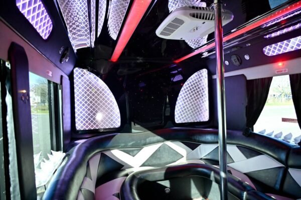 46 Passengers Club on wheels Party Bus Rental