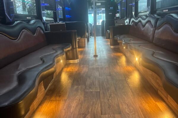 50 Passengers Party Bus Rental with Pole & Lavatory