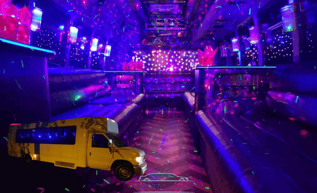 20 Passengers Party Bus Rental