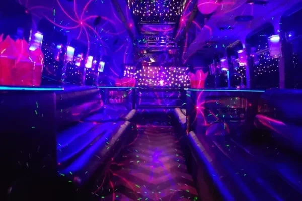 20 Passenger Party Bus Rental Queen Ann