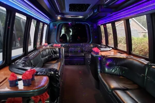 15 Passengers Party Bus Rental Princess Monica