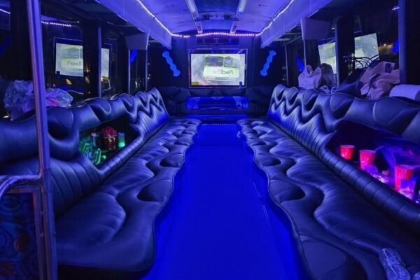 35 Passengers Party Bus Rental