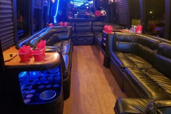 15 Passengers Party Bus Rental Princess Monica