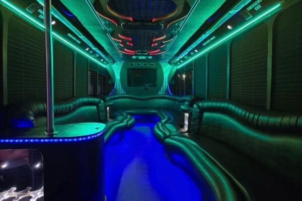 25 Passengers Party Bus Rental