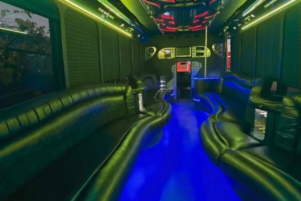 25 Passengers Party Bus Rental