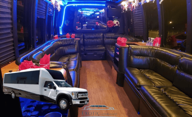 15 Passengers Party Bus Rental