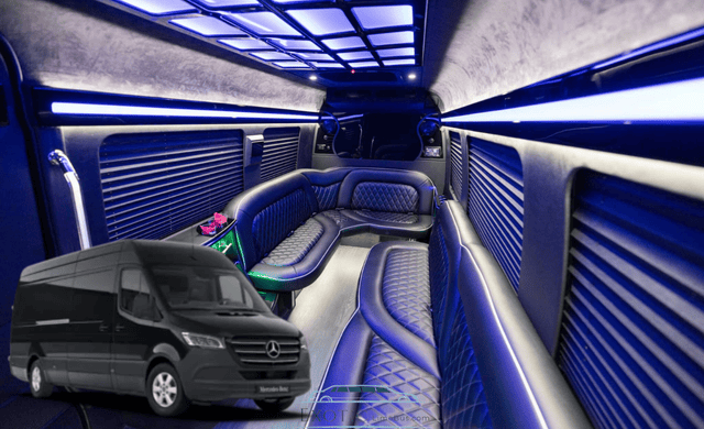 12-14 Passengers Sprinter Party Bus Rental