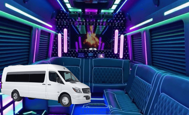 Mercedes Benz Sprinter Party Bus Rental